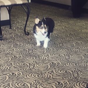 Meet your Posher, Cindy