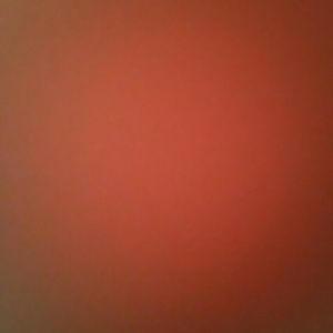 Meet your Posher, Kailee