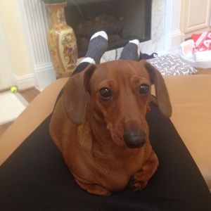 Meet your Posher, Katelyn