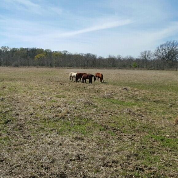 Meet your Posher, Brad - Picture 1 of 1