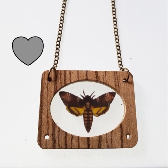 ODDITIES: Mini faux Deaths Head Moth - Picture 1 of 2