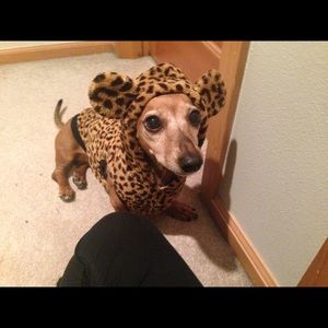 Meet your Posher, Naomi