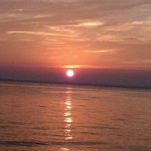 Meet your Posher, Pattie