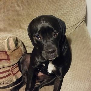 Meet your Posher, Cierra