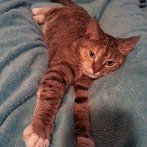 Meet your Posher, Beverly