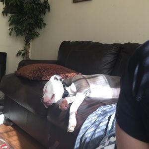 Meet your Posher, Keri