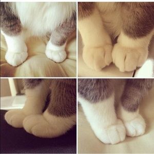 Meet your Posher, Allesandra