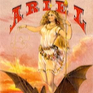 Meet your Posher, Ariel