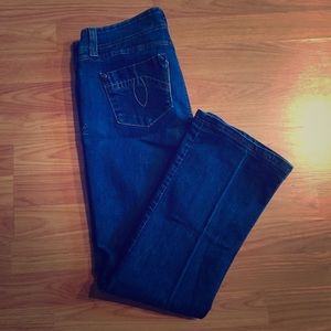 Level 99 Flare Jeans