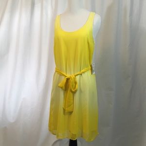 Bright and Sunny Dress