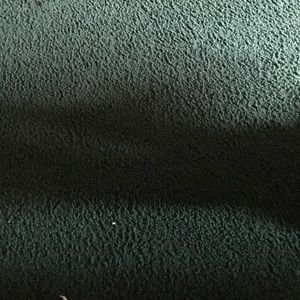 Meet your Posher, Christy