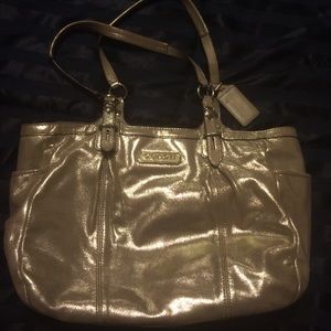 Metallic Coach Purse