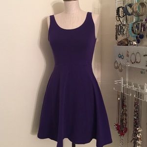 Purple Express Skater Dress