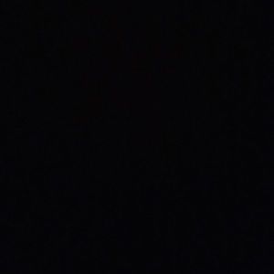 Meet your Posher, Gracey