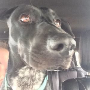 Meet your Posher, Lynn