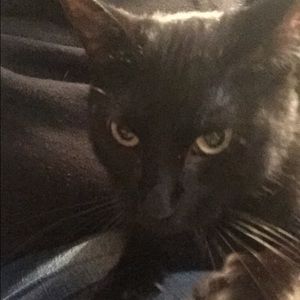 Meet your Posher, Kori