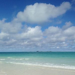 Meet your Posher, Bonnie