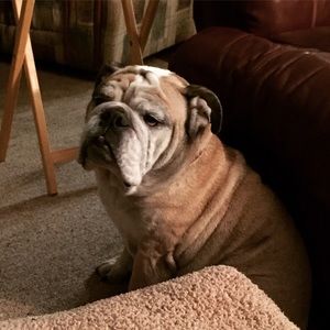 Meet your Posher, Karla