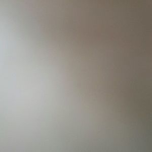 Meet your Posher, Bobbi