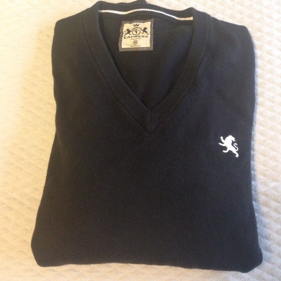 Express Men's V neck sweater