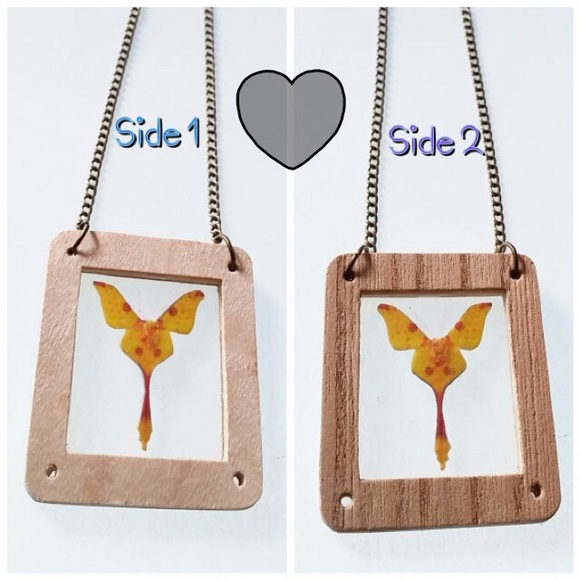 Faux taxidermy Comet Moth oddity necklace. - Picture 2 of 2