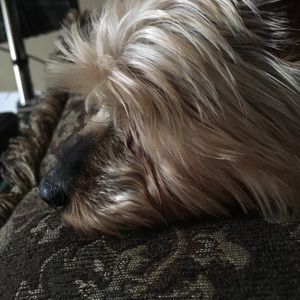 Meet your Posher, Laura