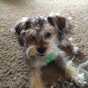 Meet your Posher, Jane