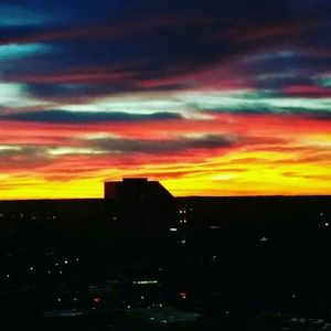 Meet your Posher, Oneisha