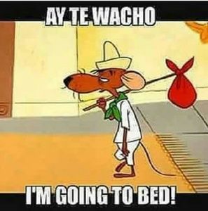 Meet your Posher, Sylvia