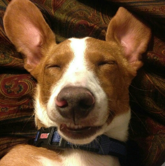 Meet your Posher, Lisa - Picture 2 of 2