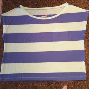 AE Striped Blue Crop Top