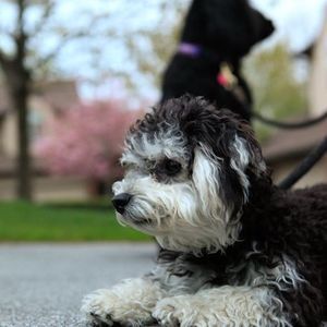 Meet your Posher, Carolyn