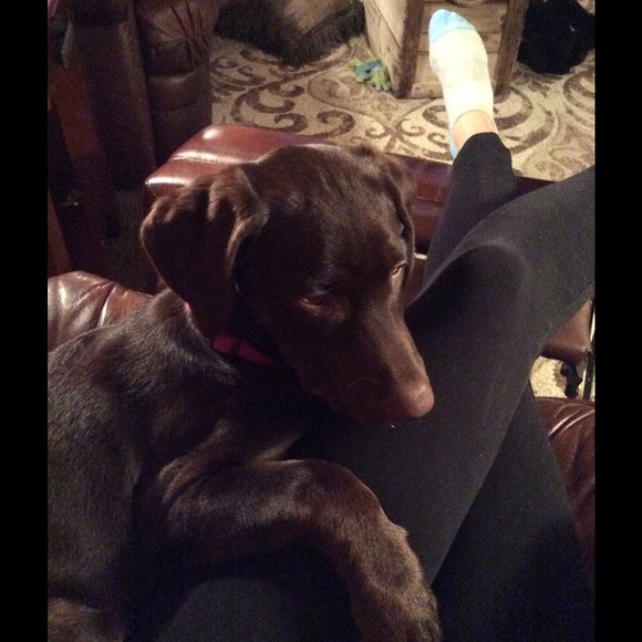 Meet your posher. - Picture 2 of 3