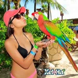 Meet your Posher, April