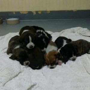 Meet your Posher, Jeanne