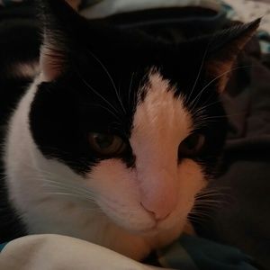 Meet your Posher, Abby