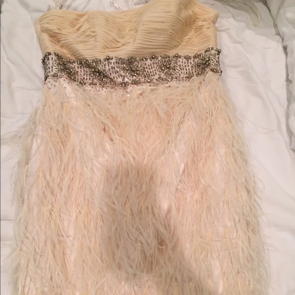 Sue Wong feather dress