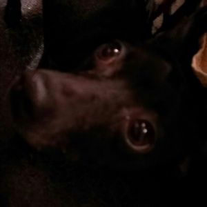 Meet your Posher, Kathy