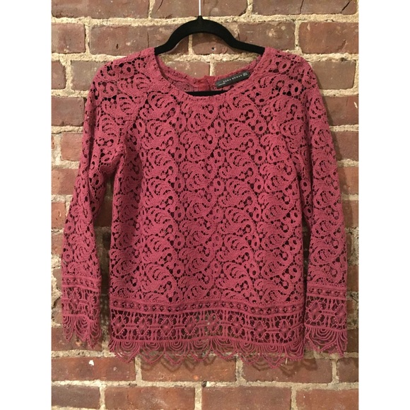Zara Lace Blouse