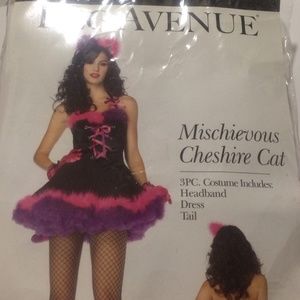 Mischievous Cheshire Cat Halloween Costume