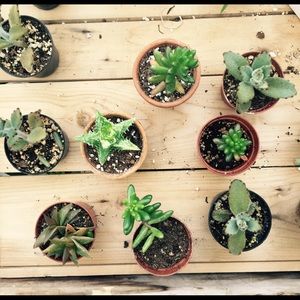 Meet your Posher, Sabrina