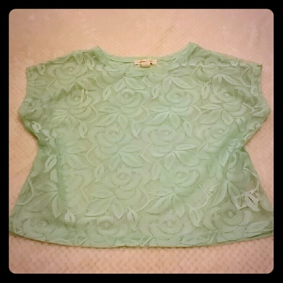 Baby blue lace crop top