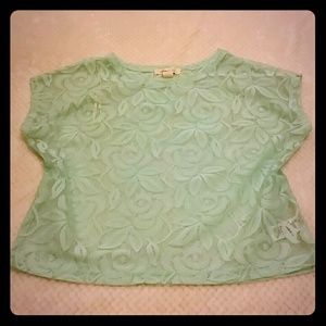 Baby blue lace crop top