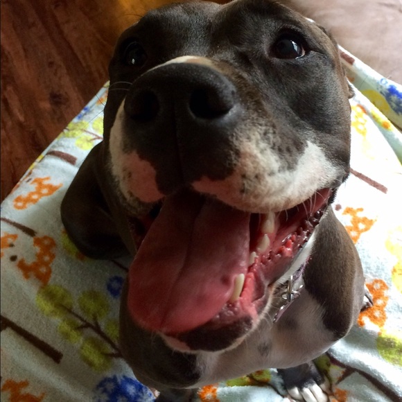 Meet your Posher, Hannah 🍄 - Picture 5 of 6