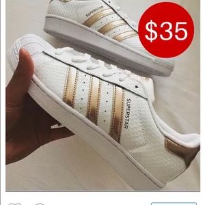 Meet your Posher, Leeshay