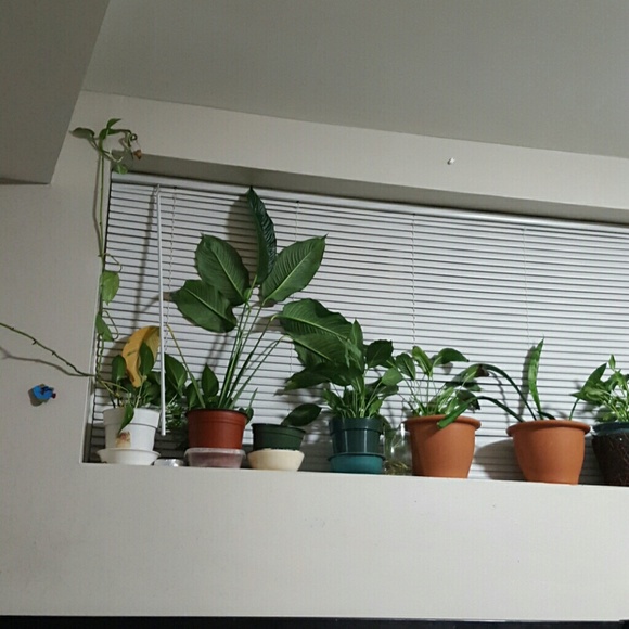 Meet your Posher, Ana