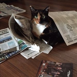 Meet your Posher, Angela