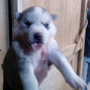 Meet your Posher, Kristi