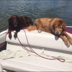 Meet your Posher, Shanon