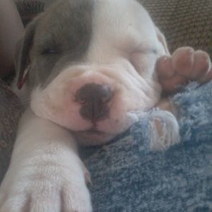 Meet your Posher, Rick leah